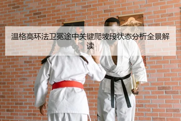 wen-ge-gao-huan-fa-wei-mian-tu-zhong-guan-jian-pa-po-duan-zhuang-tai-fen-xi-quan-jing-jie-du-2-717.jpg